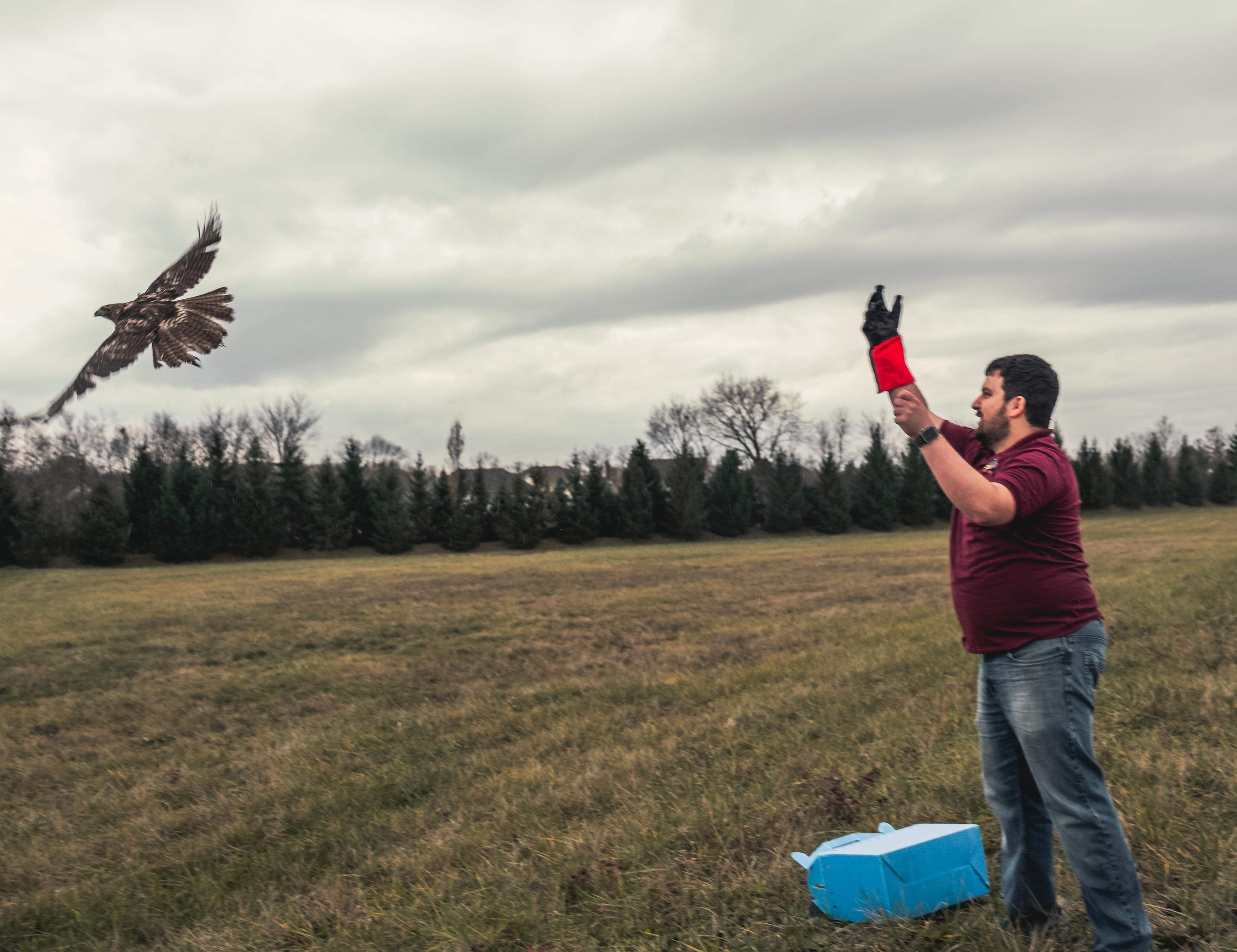 AirTurn Helps Hawk Release